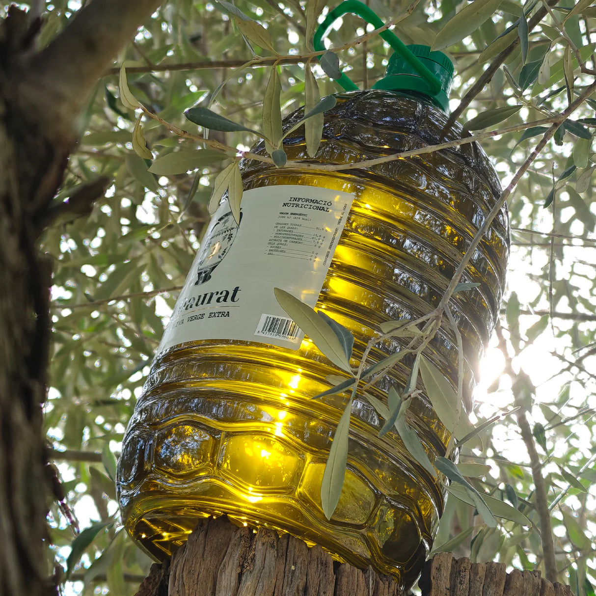 Aceite Daurat - Llàgrimes del Canigó