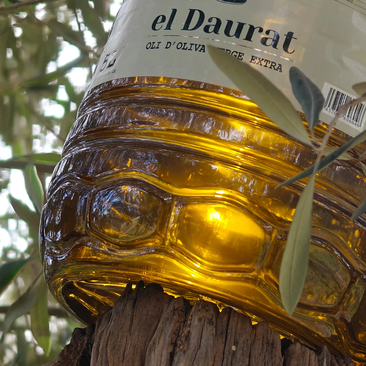 Aceite Daurat - Llàgrimes del Canigó