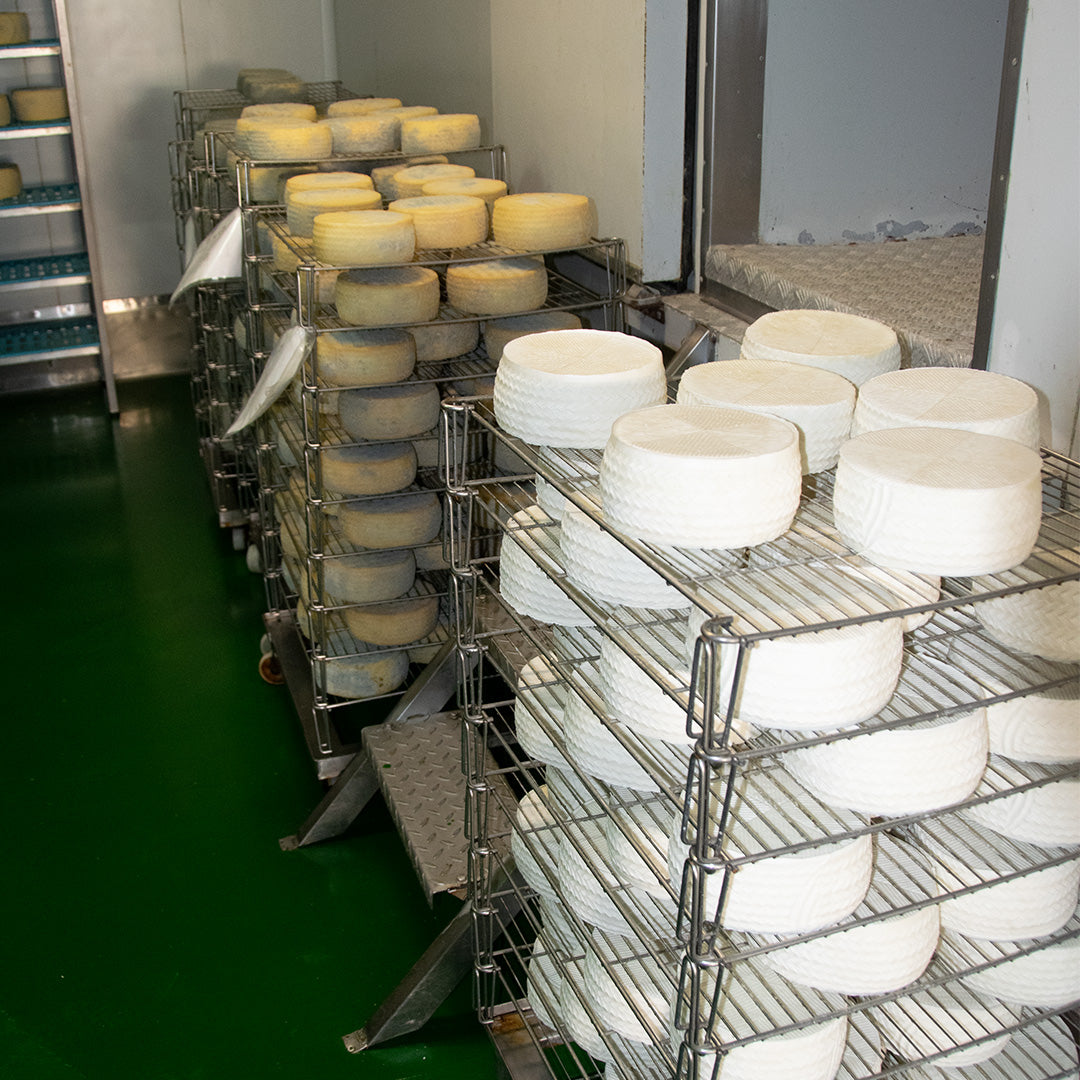 Queso Semicurado de Cabra