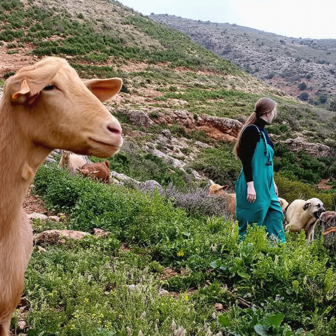 Queso Semicurado de Cabra al Pimentón