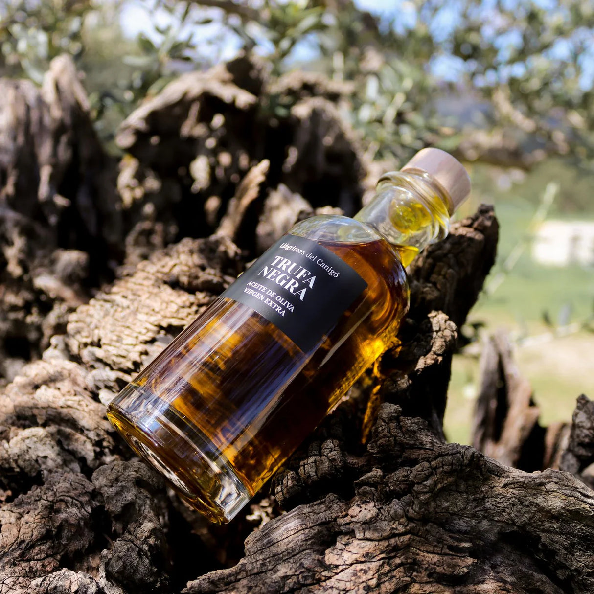 Aceite con Trufa Negra - Llàgrimes del Canigó