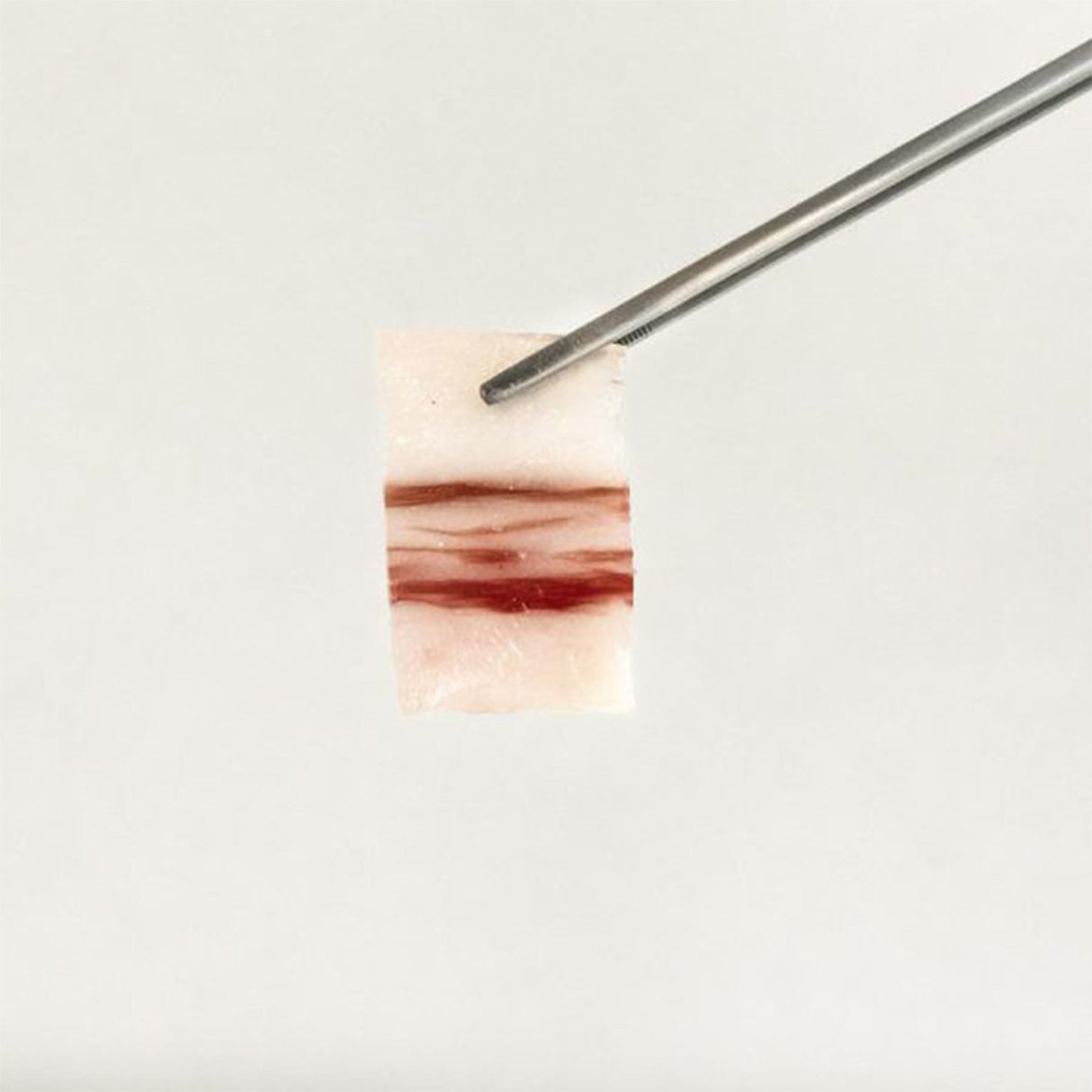 Ventresca de Bellota 100% Ibérica MIO - PIEZA ENTERA