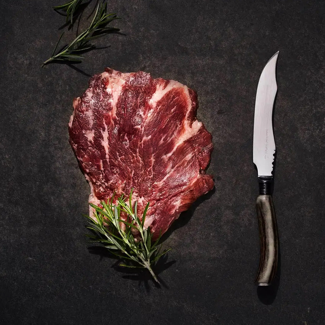 Abanico Ibérico de Bellota