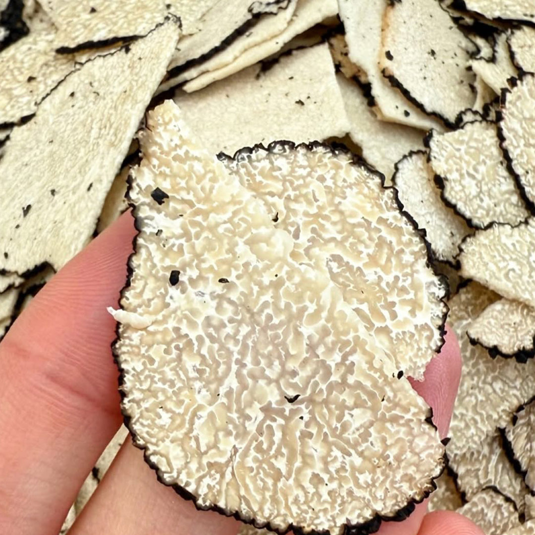 Trufa en su jugo (Tuber Aestivum)