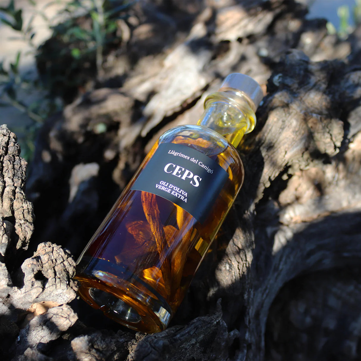 Aceite con Trufa Negra - Llàgrimes del Canigó