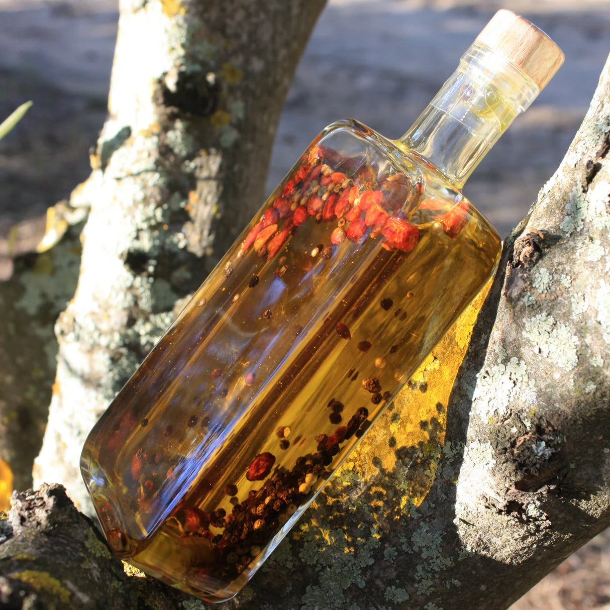 Aceite con Guindilla, Ajo y Pimienta - Llàgrimes del Canigó