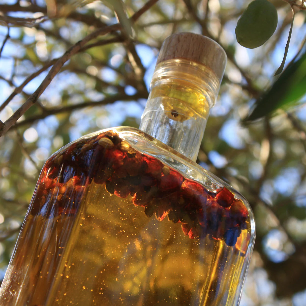 Aceite con Guindilla, Ajo y Pimienta - Llàgrimes del Canigó